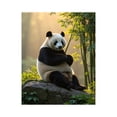 thumbnail image 1 of Paint by Numbers Kit for Adults, Panda Forest Serenity Paint by Numbers, Easy Paint by Numbers Kit for Adults Beginner, DIY Adult Paint by Number Kits on Canvas, 12x16in Home Decor, 1 of 7