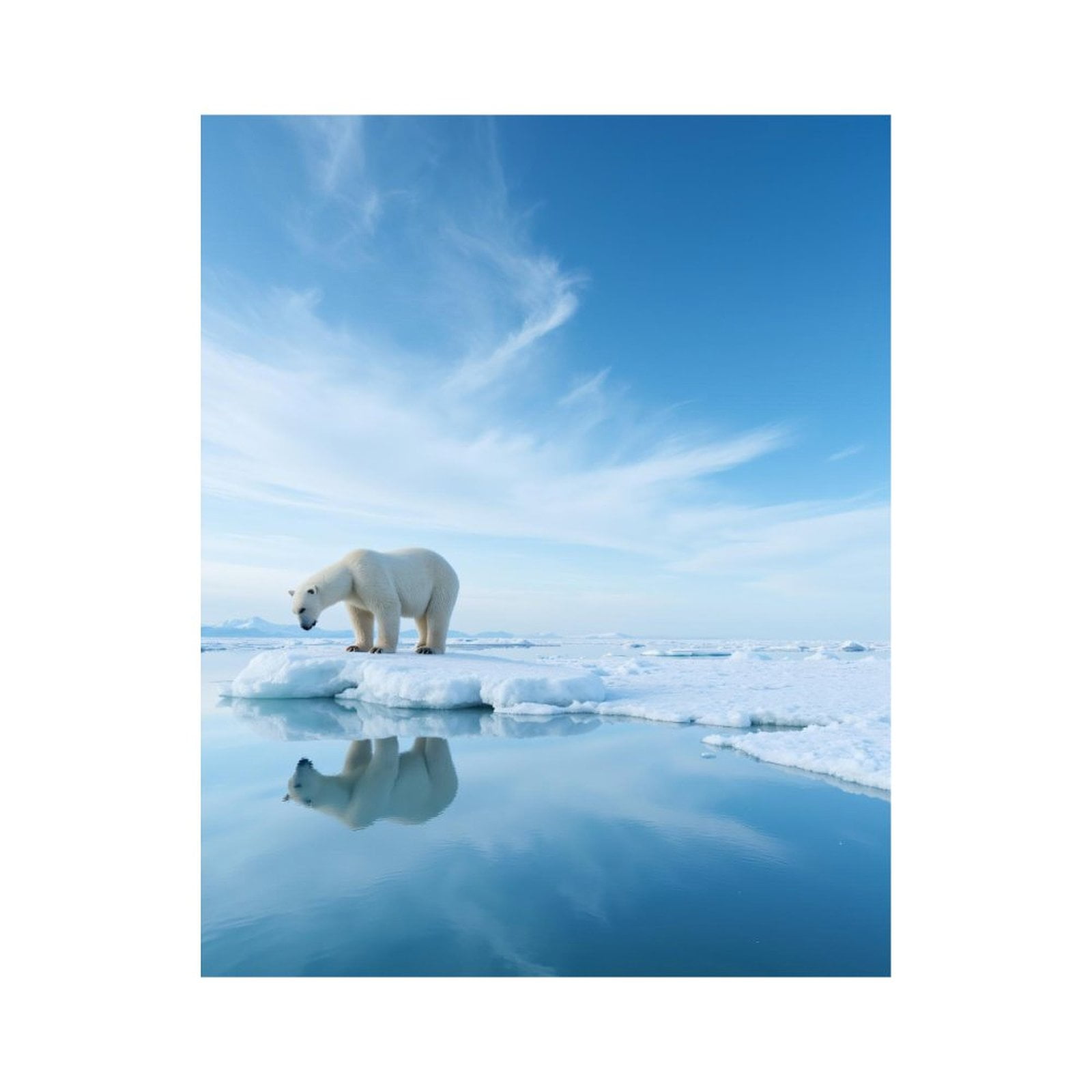 Paint by Numbers Kit for Adults, Polar Bear Ice Reflection Scene Paint by Numbers, Easy Paint by Numbers Kit for Adults Beginner, DIY Adult Paint by Number Kits on Canvas, Home Decor
