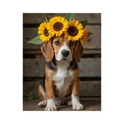 Paint by Numbers Kit for Adults, Puppy Sunflower Crown Cute Pet Paint by Numbers, Easy Paint by Numbers Kit for Adults Beginner, DIY Adult Paint by Number Kits on Canvas, Home Decor