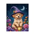 thumbnail image 1 of Paint by Numbers Kit for Adults, Puppy Wizard Starry Night Paint by Numbers, Easy Paint by Numbers Kit for Adults Beginner, DIY Adult Paint by Number Kits on Canvas, Home Decor, 1 of 7