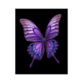 thumbnail image 1 of Paint by Numbers Kit for Adults, Purple Butterfly Wings Artistry Paint by Numbers, Easy Paint by Numbers Kit for Adults Beginner, DIY Adult Paint by Number Kits on Canvas, 12x16in Home Decor, 1 of 7