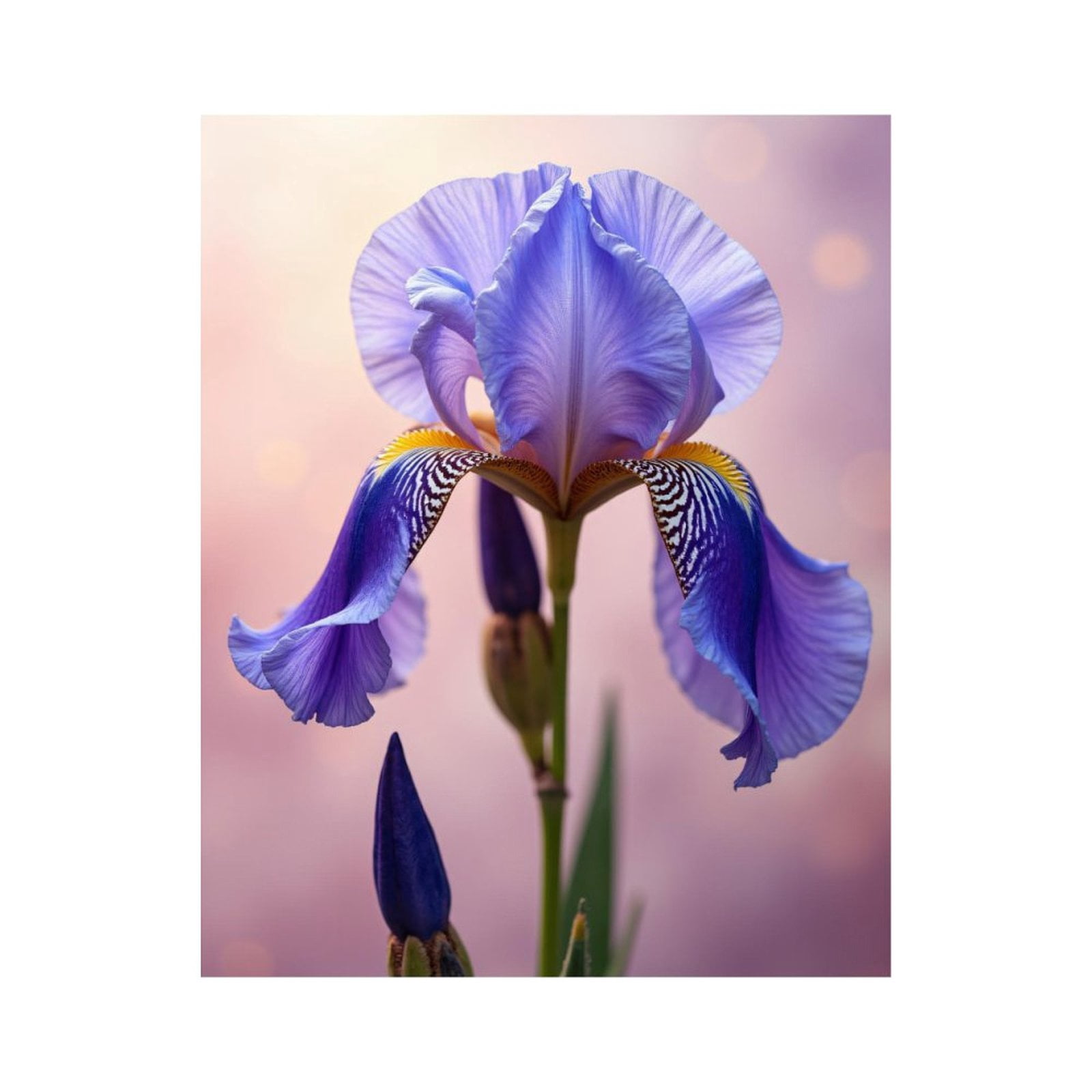 Paint by Numbers Kit for Adults, Purple Iris Flower Blossom Paint by Numbers, Easy Paint by Numbers Kit for Adults Beginner, DIY Adult Paint by Number Kits on Canvas, Home Decor