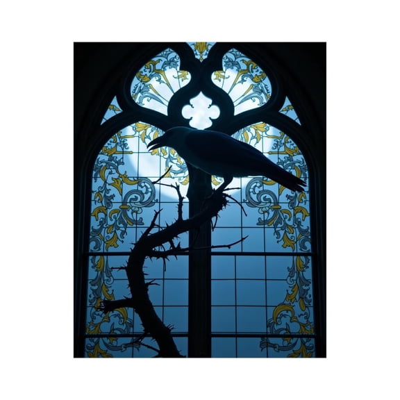 Paint by Numbers Kit for Adults, Raven Silhouette Stained Glass Window Paint by Numbers, Easy Paint by Numbers Kit for Adults Beginner, DIY Adult Paint by Number Kits on Canvas, Home Decor