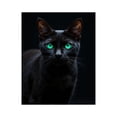 thumbnail image 1 of Paint by Numbers Kit for Adults, Regal Cat Emerald Eyes Paint by Numbers, Easy Paint by Numbers Kit for Adults Beginner, DIY Adult Paint by Number Kits on Canvas, 12x16in Home Decor, 1 of 7