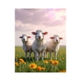 thumbnail image 1 of Paint by Numbers Kit for Adults, Sheep In Sunny Field Paint by Numbers, Easy Paint by Numbers Kit for Adults Beginner, DIY Adult Paint by Number Kits on Canvas, Home Decor, 1 of 7