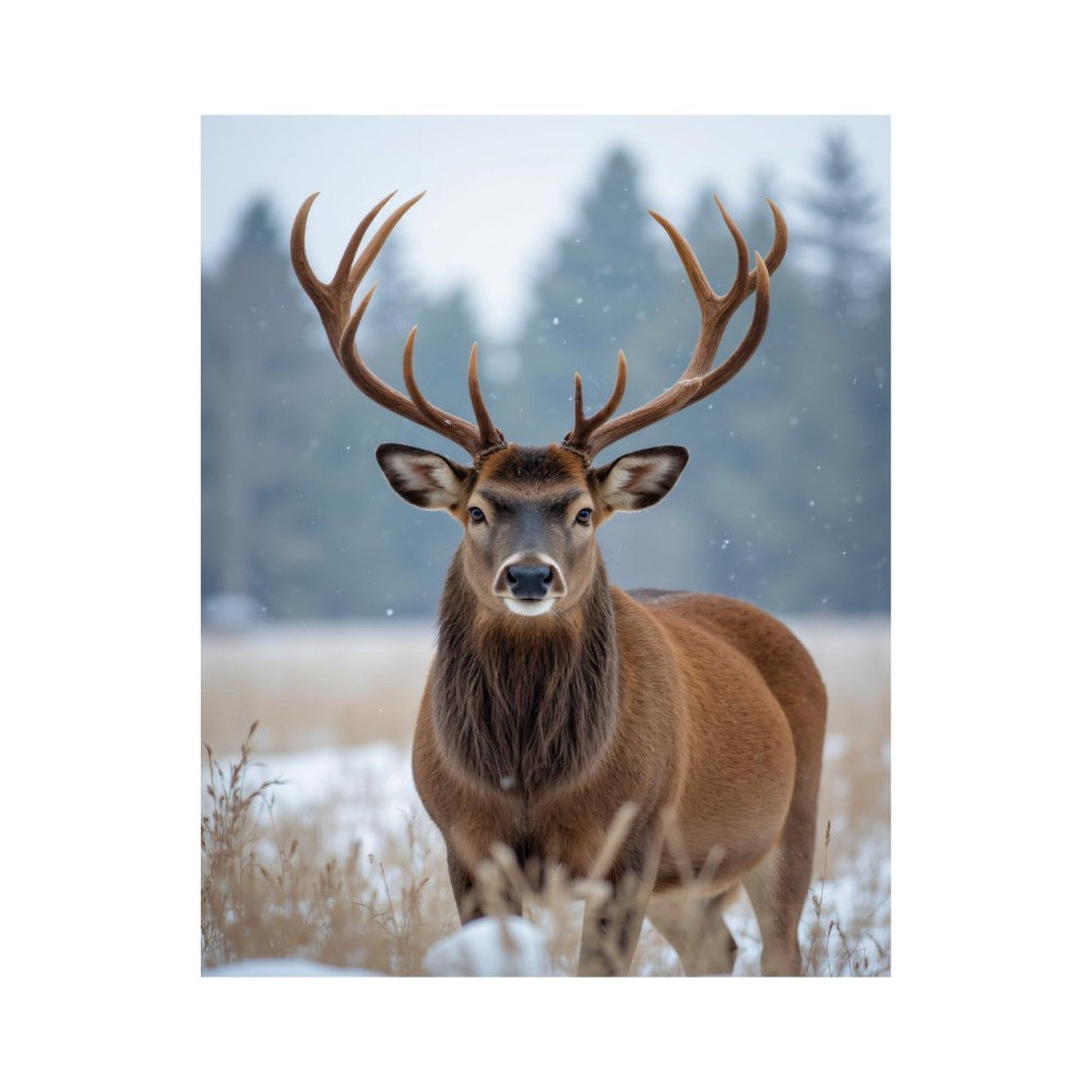 Paint by Numbers Kit for Adults, Snowy Forest Majestic Deer Paint by Numbers, Easy Paint by Numbers Kit for Adults Beginner, DIY Adult Paint by Number Kits on Canvas, Home Decor