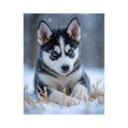 thumbnail image 1 of Paint by Numbers Kit for Adults, Snowy Puppy Blue Eyes Winter Scene Paint by Numbers, Easy Paint by Numbers Kit for Adults Beginner, DIY Adult Paint by Number Kits on Canvas, Home Decor, 1 of 7