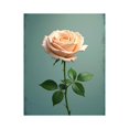 thumbnail image 1 of Paint by Numbers Kit for Adults, Soft Peach Rose Against Teal Paint by Numbers, Easy Paint by Numbers Kit for Adults Beginner, DIY Adult Paint by Number Kits on Canvas, Home Decor, 1 of 7