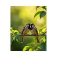 thumbnail image 1 of Paint by Numbers Kit for Adults, Sparrows On Branch Green Leaves Paint by Numbers, Easy Paint by Numbers Kit for Adults Beginner, DIY Adult Paint by Number Kits on Canvas, Home Decor, 1 of 7