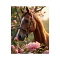 thumbnail image 1 of Paint by Numbers Kit for Adults, Spring Horse Among Blossoms Paint by Numbers, Easy Paint by Numbers Kit for Adults Beginner, DIY Adult Paint by Number Kits on Canvas, Home Decor, 1 of 7