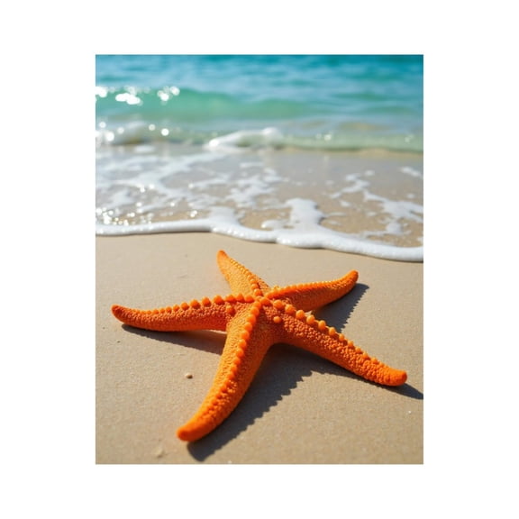 Paint by Numbers Kit for Adults, Starfish Beach Sand Ocean Waves Paint by Numbers, Easy Paint by Numbers Kit for Adults Beginner, DIY Adult Paint by Number Kits on Canvas, 12x16in Home Decor