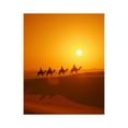 thumbnail image 1 of Paint by Numbers Kit for Adults, Sunset Desert Camel Caravan Journey Paint by Numbers, Easy Paint by Numbers Kit for Adults Beginner, DIY Adult Paint by Number Kits on Canvas, Home Decor, 1 of 7