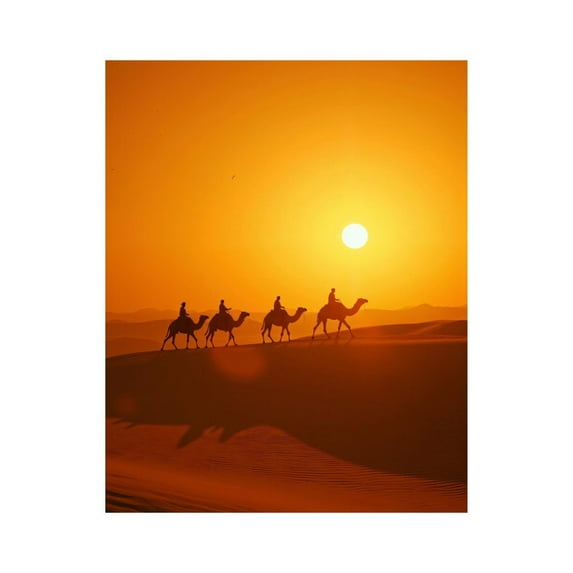 Paint by Numbers Kit for Adults, Sunset Desert Camel Caravan Journey Paint by Numbers, Easy Paint by Numbers Kit for Adults Beginner, DIY Adult Paint by Number Kits on Canvas, Home Decor