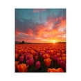 thumbnail image 1 of Paint by Numbers Kit for Adults, Sunset Over Tulip Field Paint by Numbers, Easy Paint by Numbers Kit for Adults Beginner, DIY Adult Paint by Number Kits on Canvas, Home Decor, 1 of 7