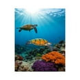 thumbnail image 1 of Paint by Numbers Kit for Adults, Tropical Sea Turtles Coral Reef Paint by Numbers, Easy Paint by Numbers Kit for Adults Beginner, DIY Adult Paint by Number Kits on Canvas, 12x16in Home Decor, 1 of 7