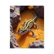Paint by Numbers Kit for Adults, Yellow Spotted Lizard On Rocks Paint by Numbers, Easy Paint by Numbers Kit for Adults Beginner, DIY Adult Paint by Number Kits on Canvas, 12x16in Home Decor