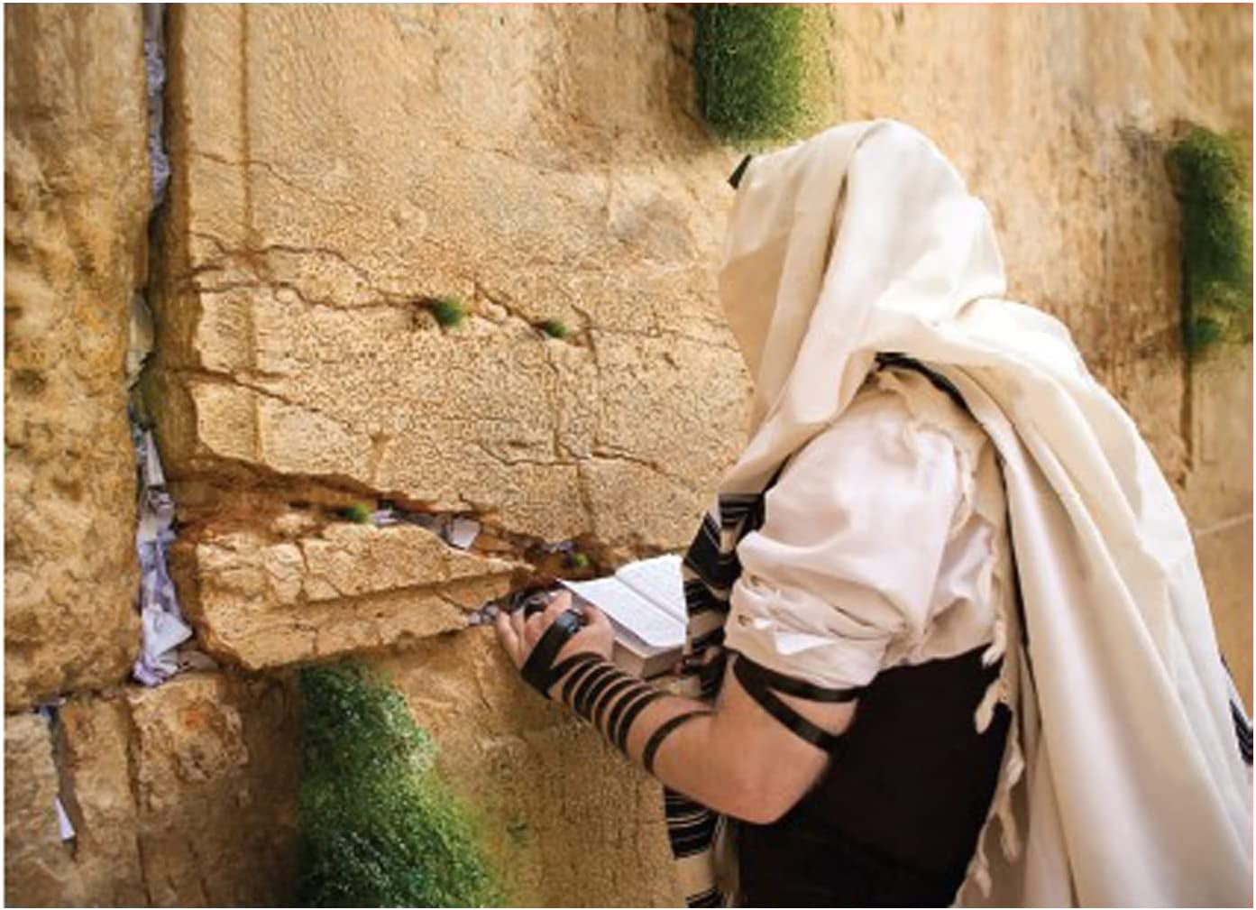 Paint By Numbers Man at Kotel Westen Wall - Paint By Number for Adults and Artist Kids - Judaica Artwork Color by Numbers Canvas Painting - Israeli Decor and Jewish Art - Jewish Home Gifts 16" x 20"