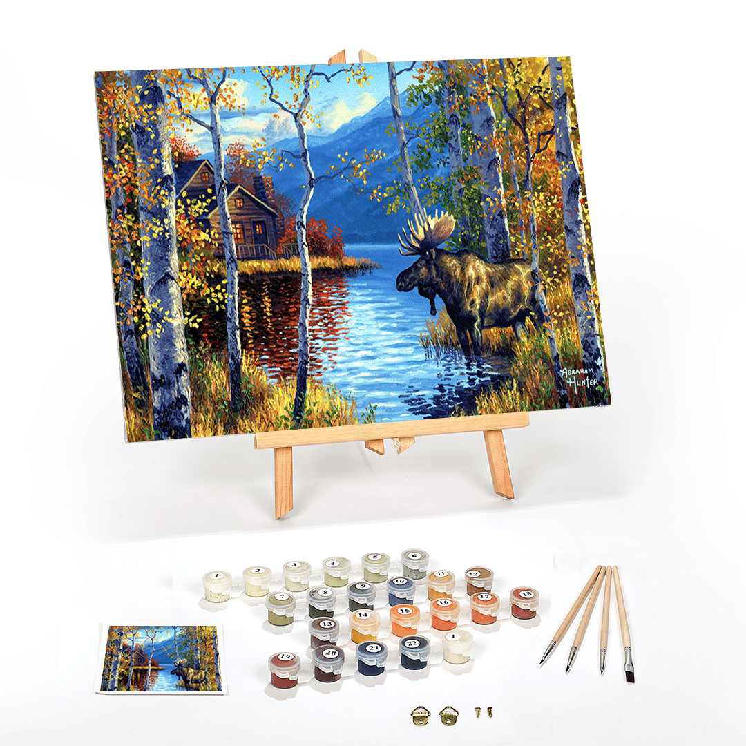 Paint by Number for Adults Beginner Complete PreFramed DIY Kit on
