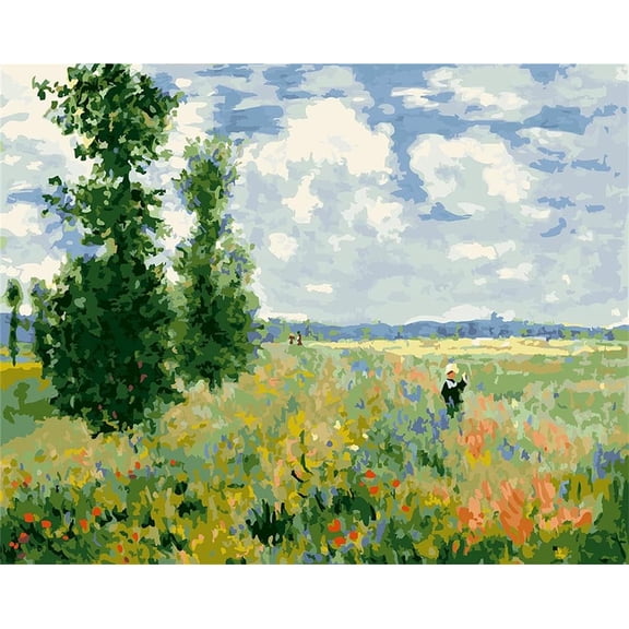 Paint by Numbers Poppy Landscape Kit for Adults Beginner DIY Oil Painting 16x20 inch (Poppy Field, No Frame)