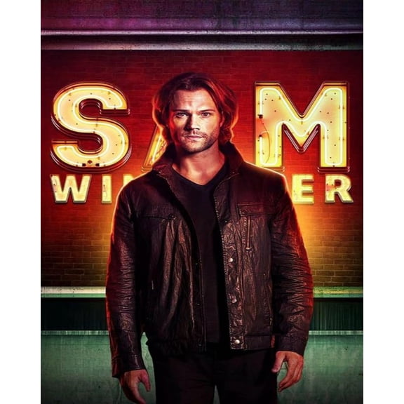 Paint by Numbers for Adults -Supernatural (24) - Drawing Paintwork DIY Paint by Number Kits Art Crafts for Home Wall Decor 16"x20"