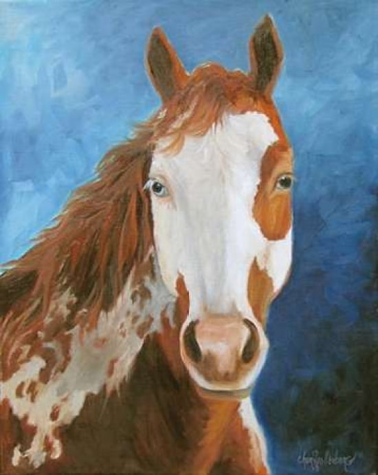 Paint the Sky Midnight Canvas Art - Cheri Wollenberg (20 x 24)