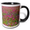 thumbnail image 1 of 3drose, Paintbrush, Bluebonnets, Brenham Texas - Us44 Dgu0181 - Darrell Gulin, 11oz Two-tone Black Mug, 1 of 6