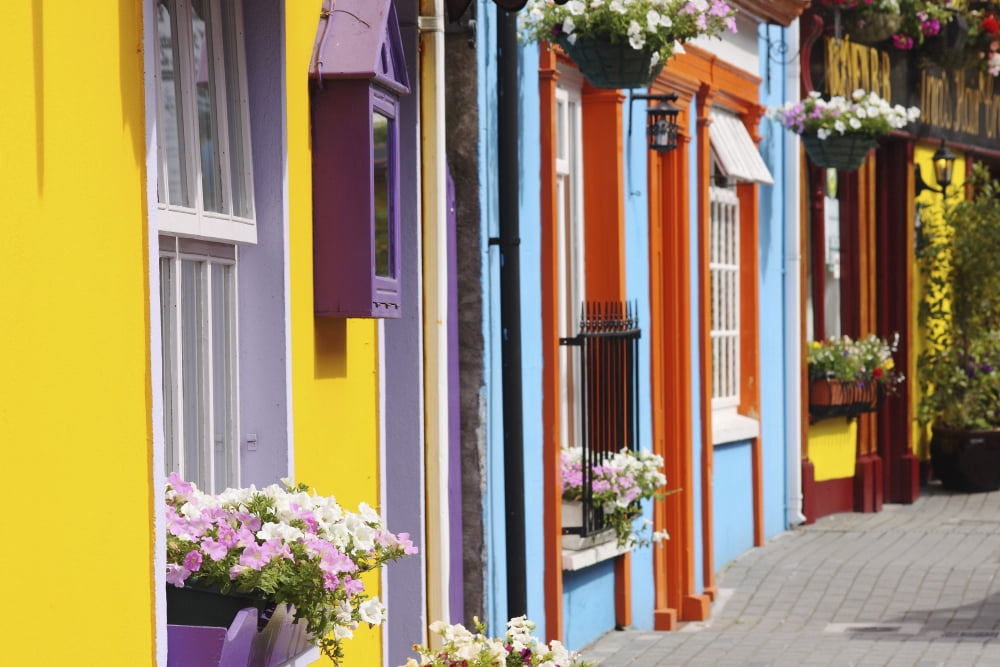 Painted Buildings On Main Street In Munster Region Kinsale County Cork Ireland Canvas Art - Trish Punch Design Pics (38 x 24)