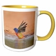 thumbnail image 1 of 3drose, Painted Bunting Adult Male Bathing, Rio Grande Valley, South Texas, 11oz Two-tone Yellow Mug, 1 of 6