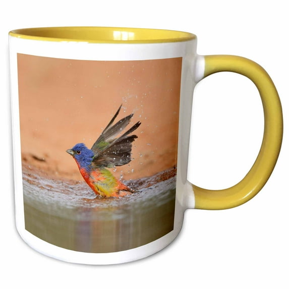 3drose, Painted Bunting Adult Male Bathing, Rio Grande Valley, South Texas, 11oz Two-tone Yellow Mug