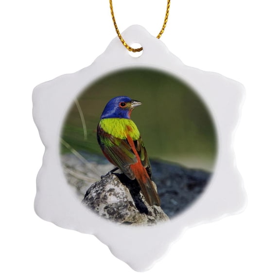 3drose, Painted Bunting Bird, Hill Country, Texas - Na02 Rnu0221 - Rolf Nussbaumer, 3 inch Snowflake Porcelain Ornament