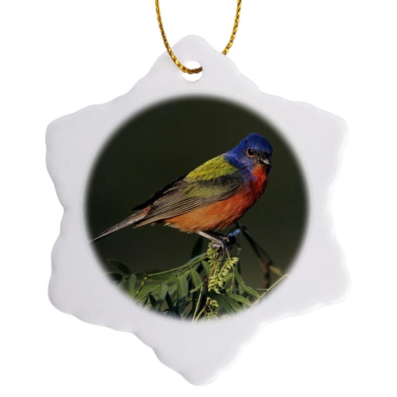 3drose, Painted Bunting Bird on Huisache Tree, Texas - Na02 Rnu0719 - Rolf Nussbaumer, 3 inch Snowflake Porcelain Ornament