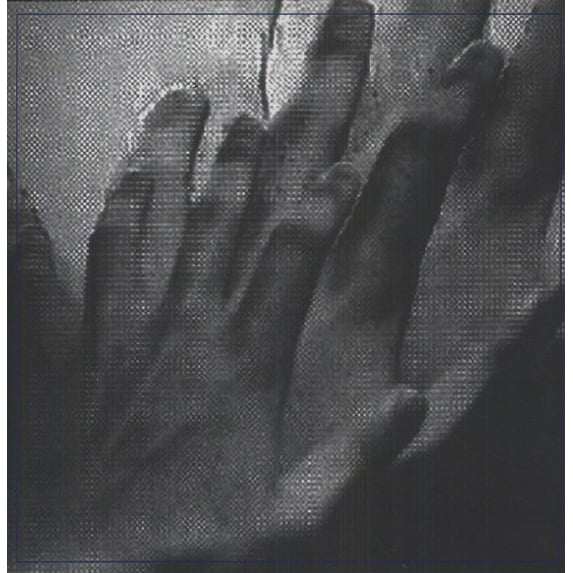 Painted Caves - Surveillance - Rock - Vinyl
