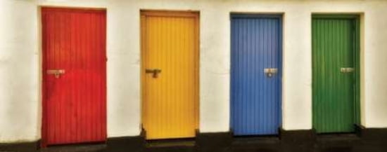 Painted Doors II Canvas Art - Dennis Frates (24 x 48)