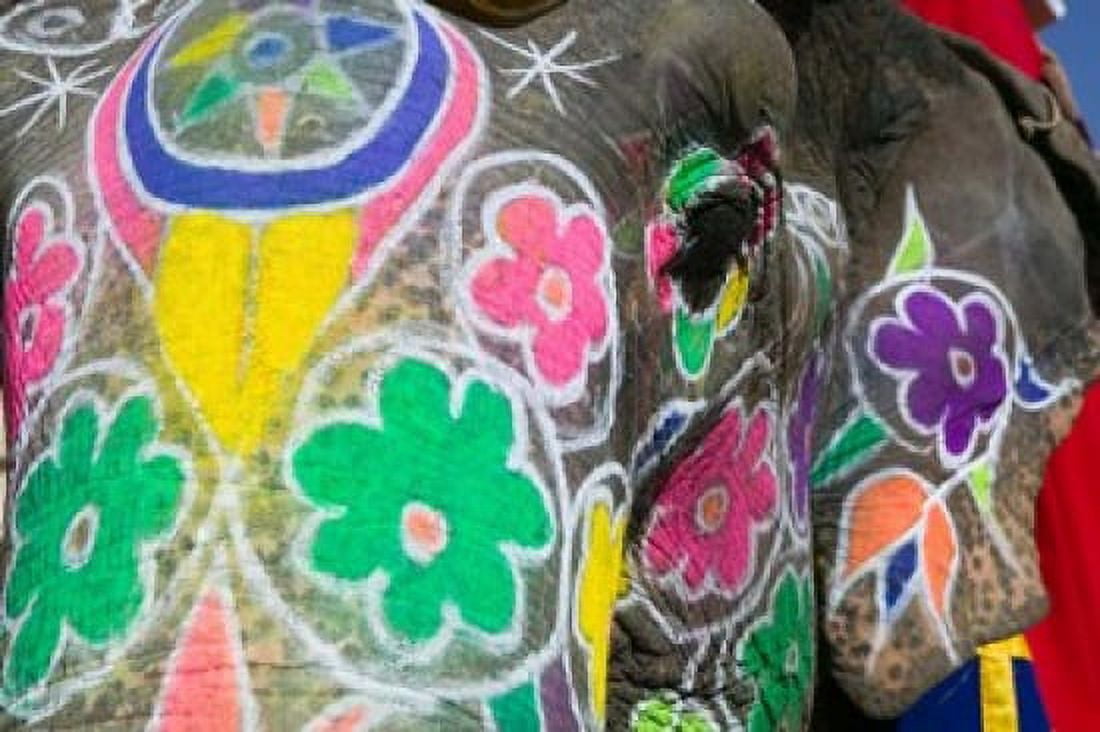 Painted Elephant Amber Fort India Canvas Art - Walter Bibikow DanitaDelimont (26 x 18)