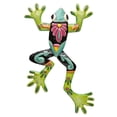 thumbnail image 1 of Painted Frog, 1 of 1