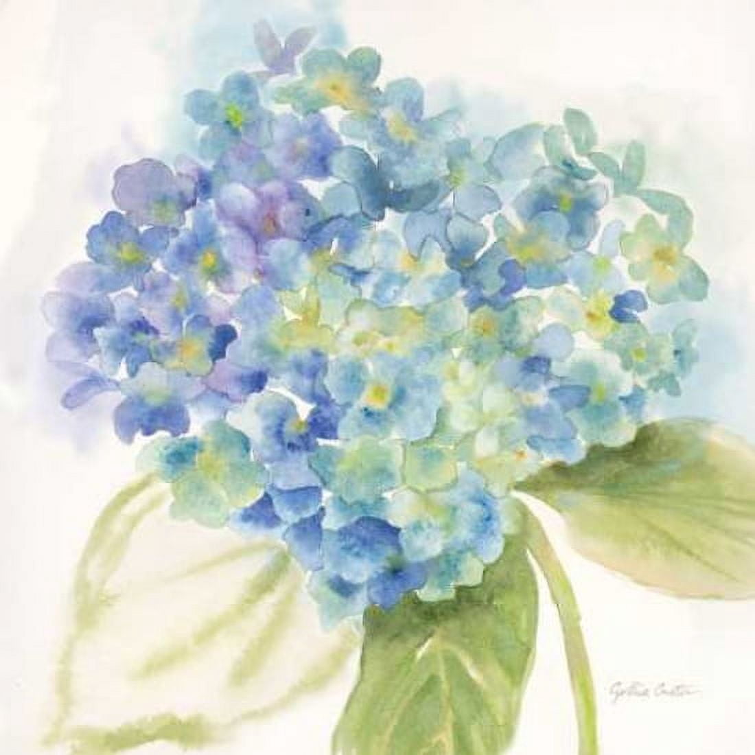 Painted Hydrangeas II Canvas Art - Cynthia Coulter (24 x 24)