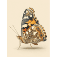 thumbnail image 1 of Painted Lady Butterfly Canvas Print，Wall Art Decor for Living Room Bedroom Office Kitchen Entryway Home Interior, 1 of 8