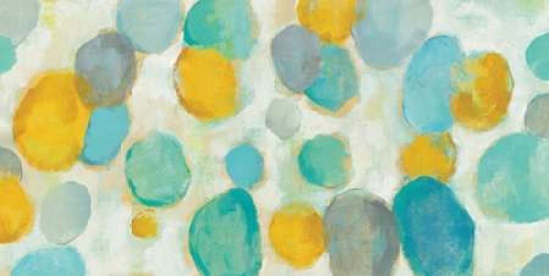 Painted Pebbles Canvas Art - Silvia Vassileva (24 x 36)