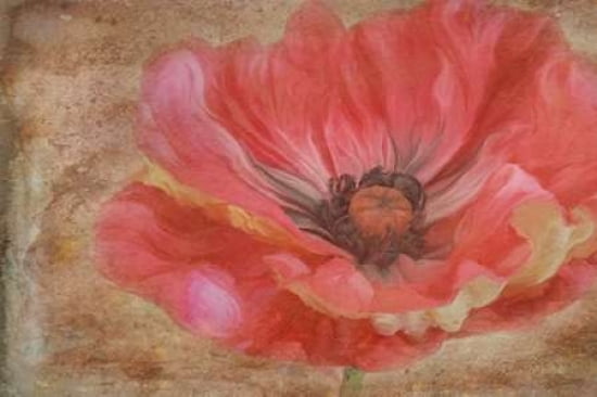 Painted Poppie Canvas Art - Ramona Murdock (12 x 18)