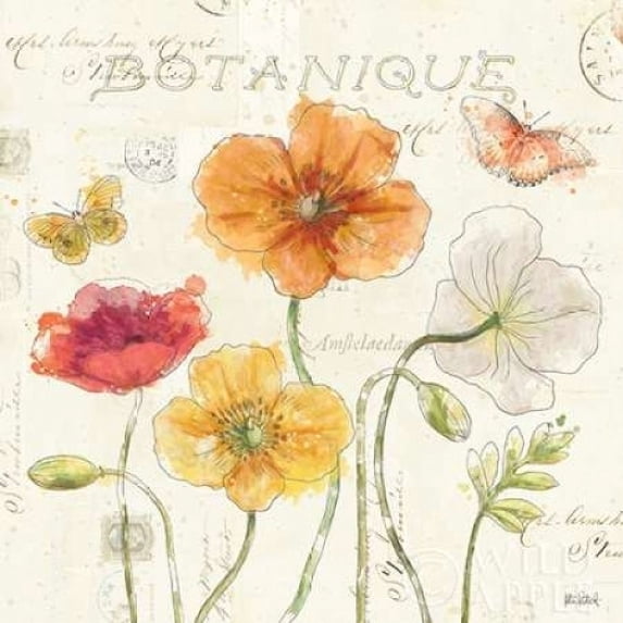 Painted Poppies II Poster Print by Katie Pertiet (12 x 12)