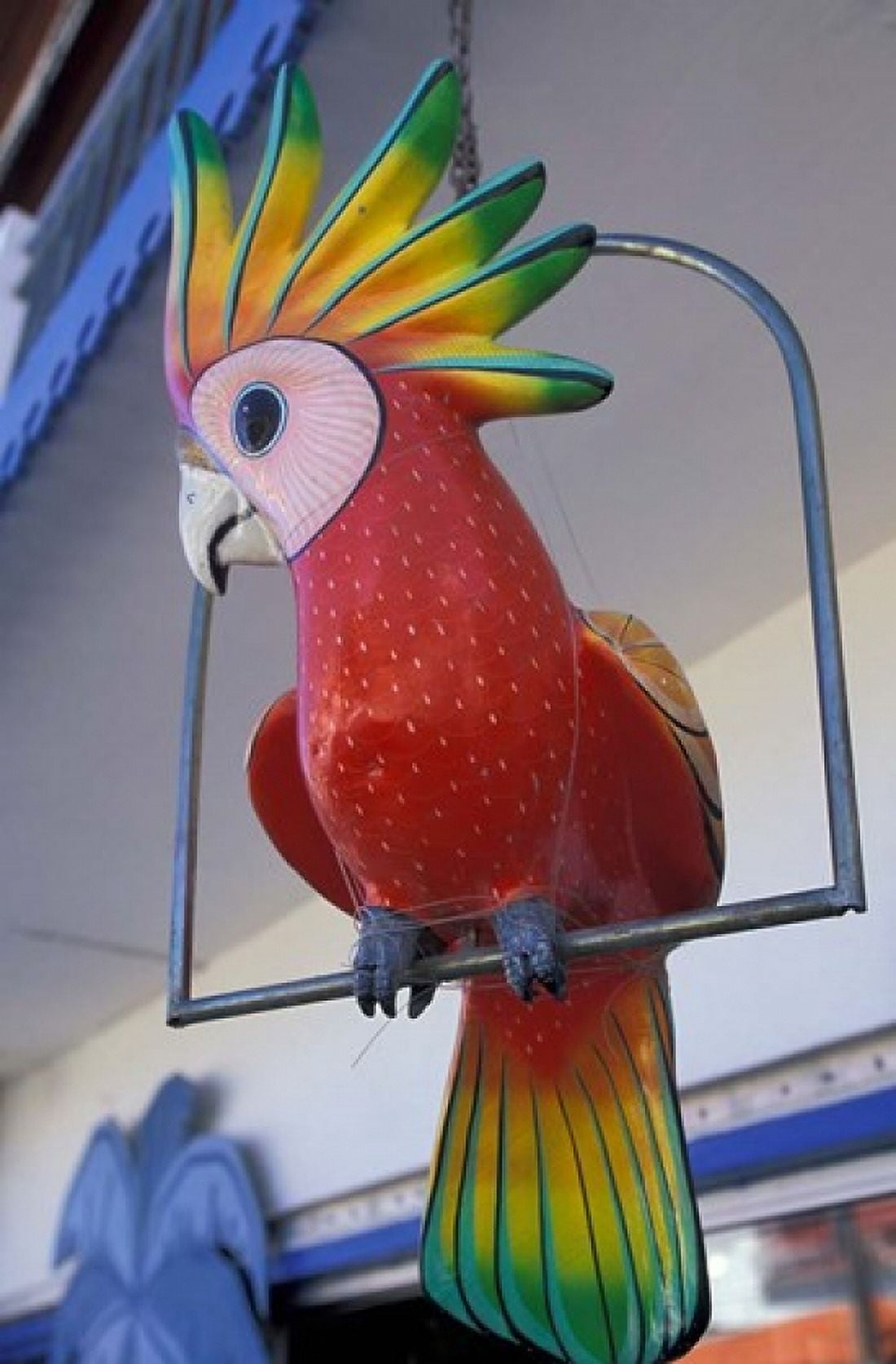 Painted Tropical Bird St Martin Caribbean Canvas Art - Walter Bibikow DanitaDelimont (18 x 27)