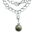 thumbnail image 1 of Painted Turtle on a Mossy Log Silver Plated Bracelet with Antiqued Charm, 1 of 5