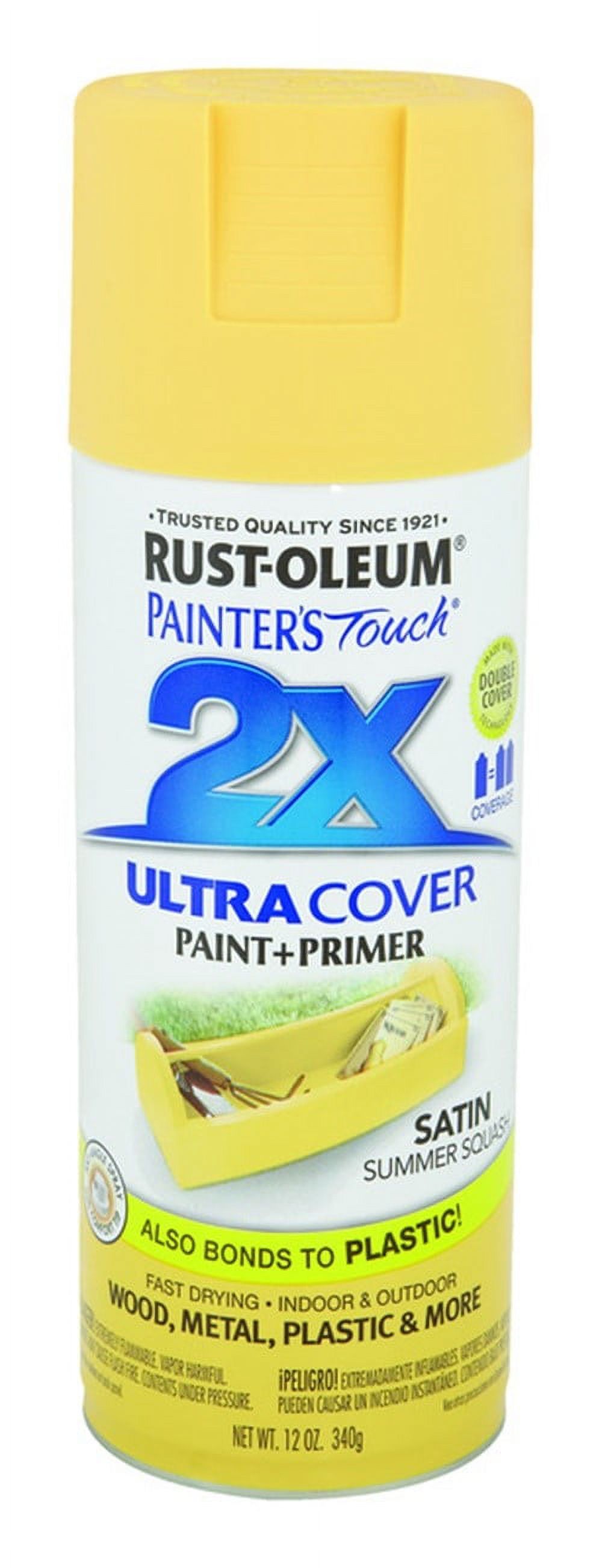 Painter's Touch 249064 General Purpose OilBased Spray Paint, 12 oz Can