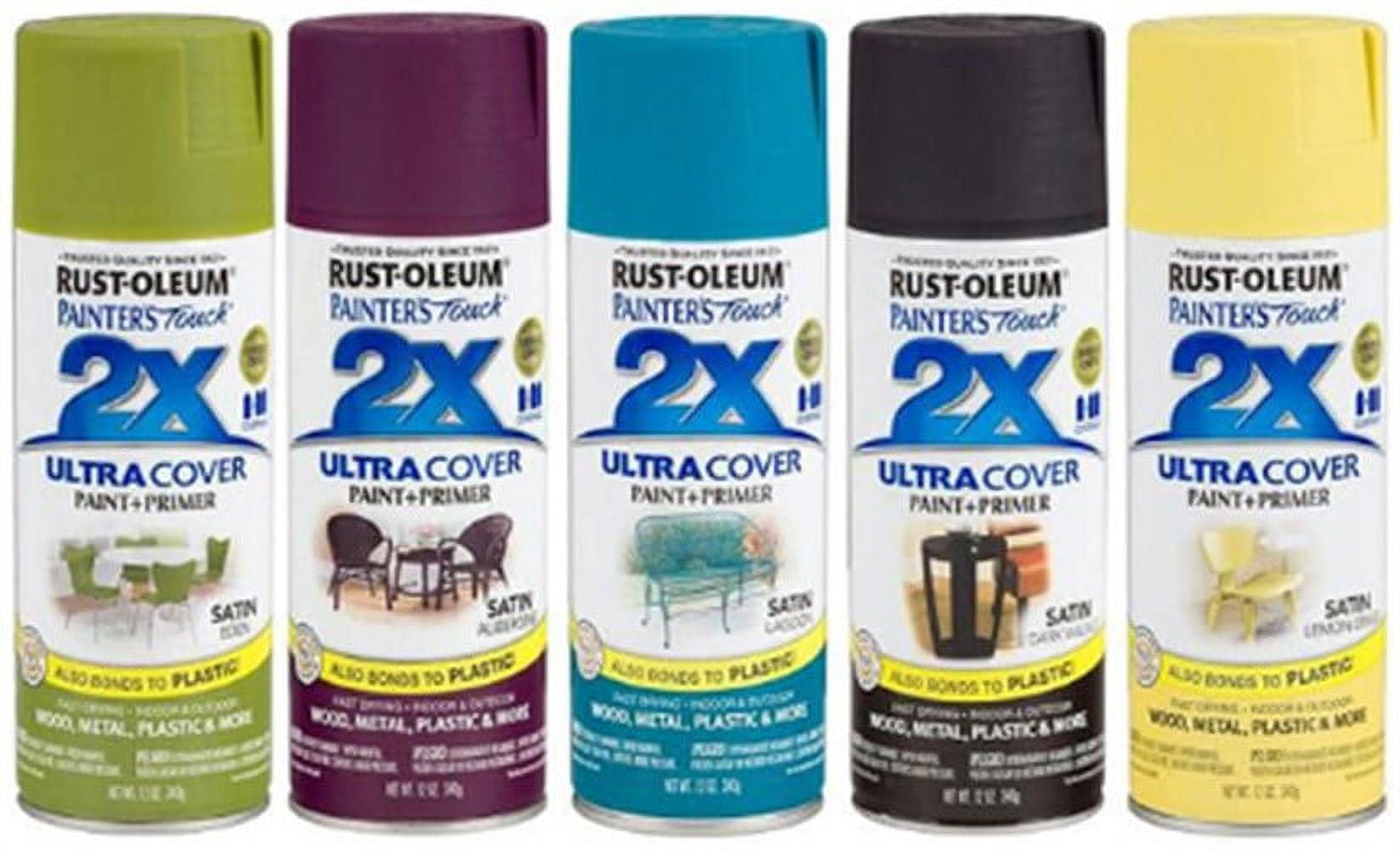 Painter's Touch 263148 General Purpose OilBased Spray Paint, 12 oz Can