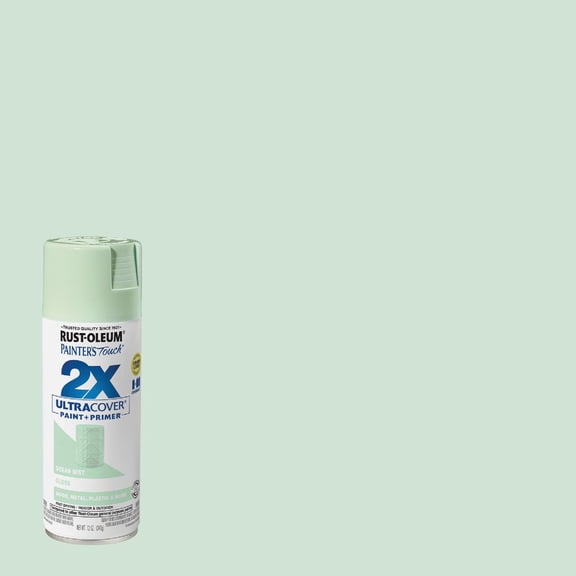 Painter's Touch 2X Ultra Cover Paint + Primer Spray Paint - Single Pack