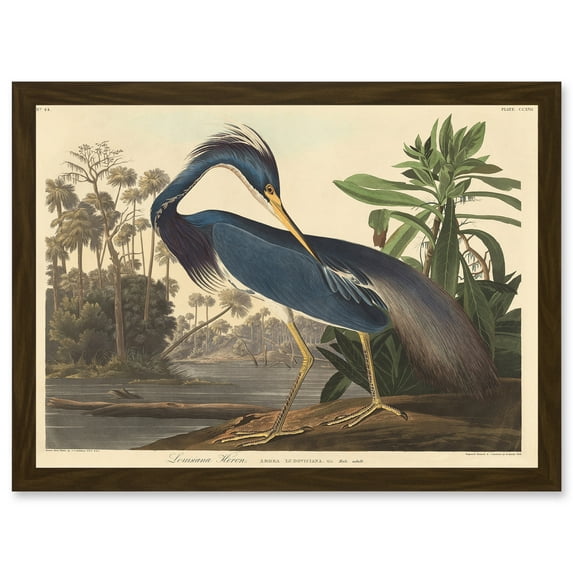 Painting Bird Audubon Louisiana Heron Artwork Framed Wall Art Print A4