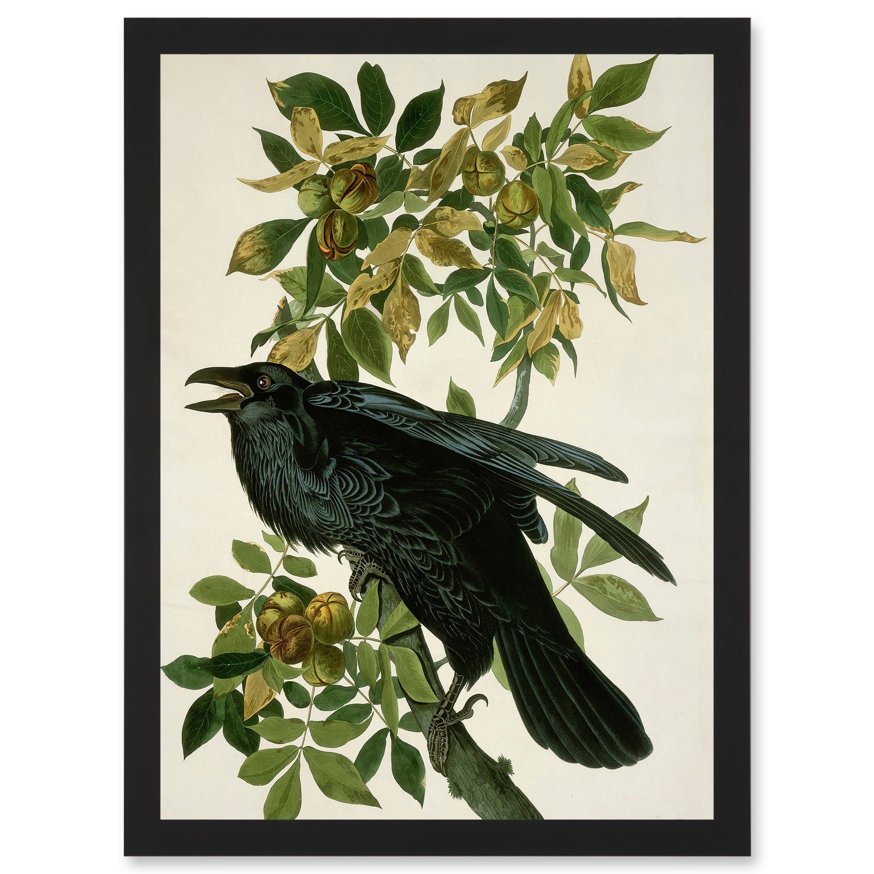 Painting Nature Animal Bird Audubon A4 Artwork Framed Wall Art Print ...