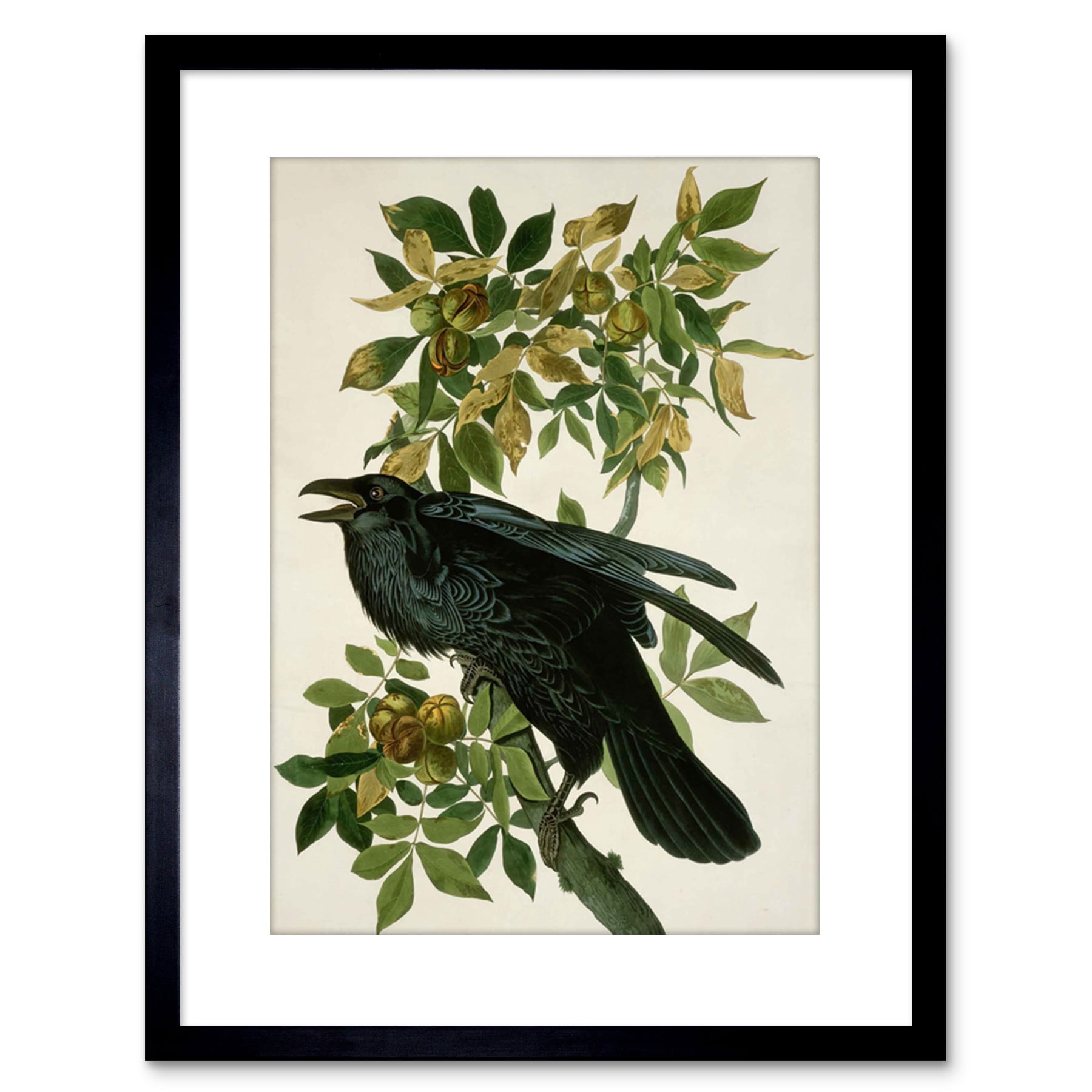 Painting Nature Animal Bird Audubon Raven Artwork Framed Wall Art Print ...