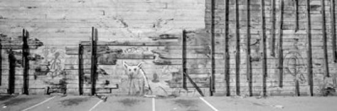 Painting Of A Dog On A Wall San Francisco California USA Canvas Art - Panoramic Images (18 x 6)