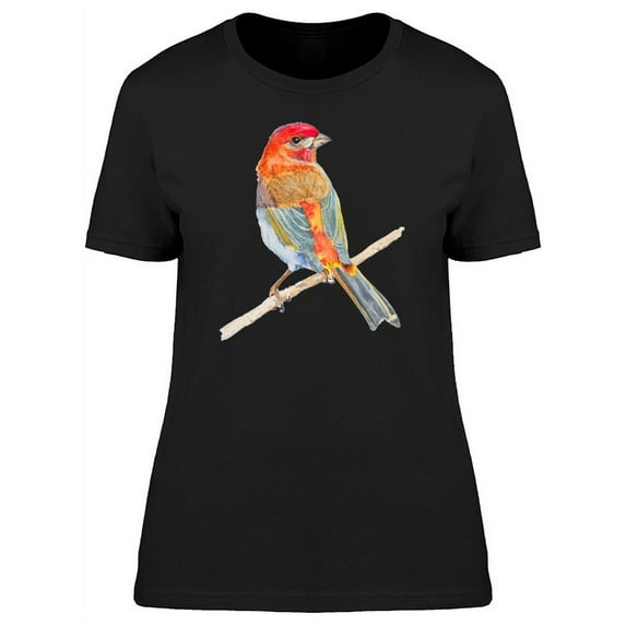 Painting Of A Rainbow Bird T-Shirt Women -Image by Shutterstock, Female XX-Large